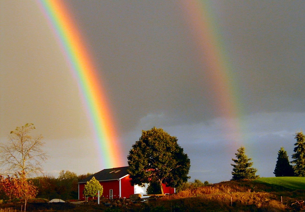 http://climate.met.psu.edu/data/frost/images/rainbow.jpg